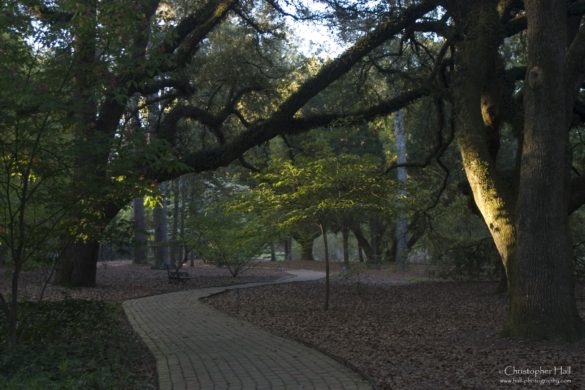 Thoroughbred Country, SC