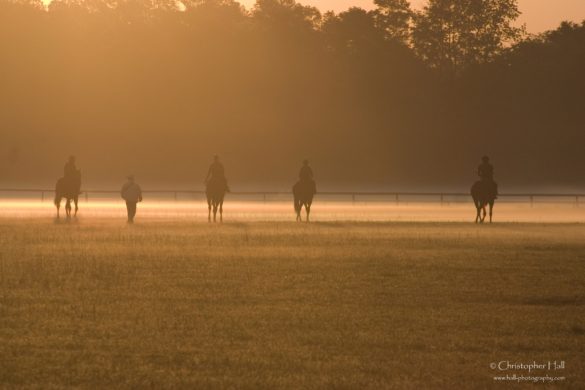 Thoroughbred Country, SC