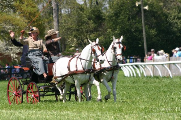 Thoroughbred Country, SC