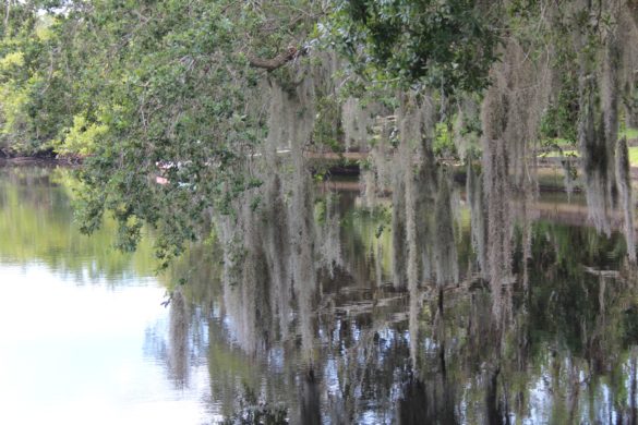 Martin County, Florida