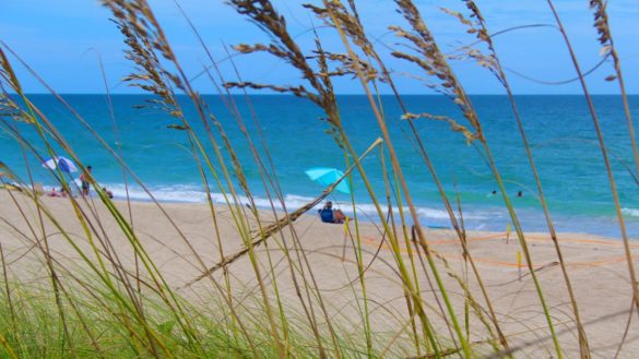 Martin County, Florida