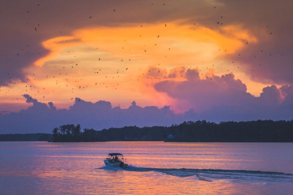 Capital City/Lake Murray Country, South Carolina