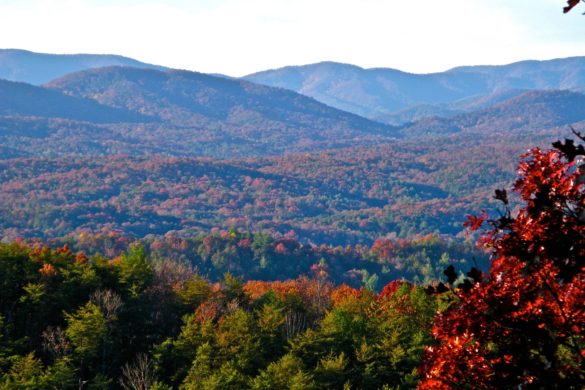 Ellijay, Georgia