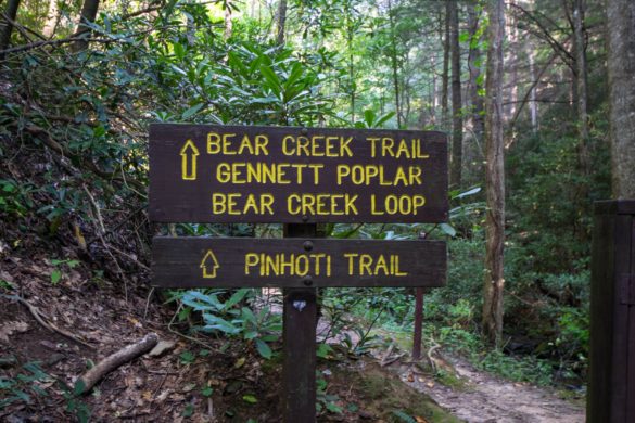 Ellijay, Georgia