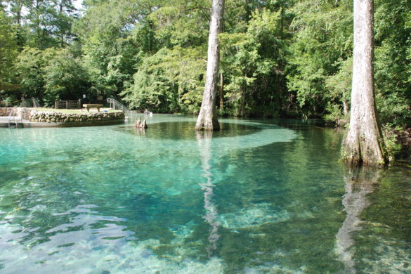 Explore Northwest Florida