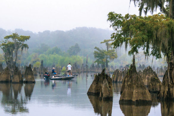 Explore Northwest Florida