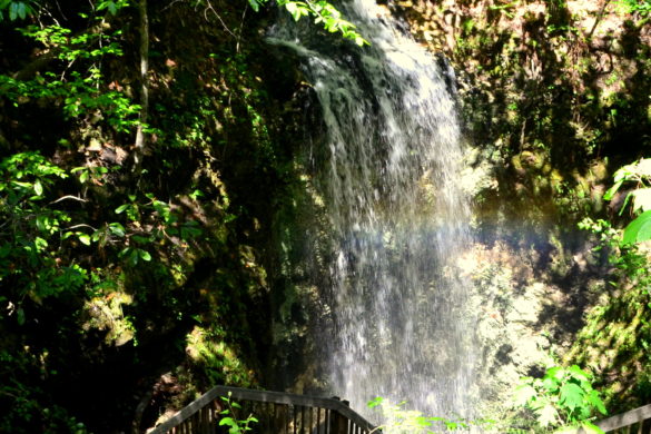 Explore Northwest Florida