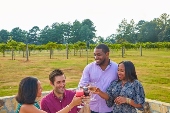 Americus and Sumter County, Georgia