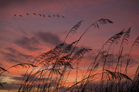Pawleys Island, South Carolina