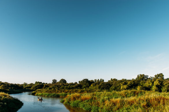 The Mississippi Delta