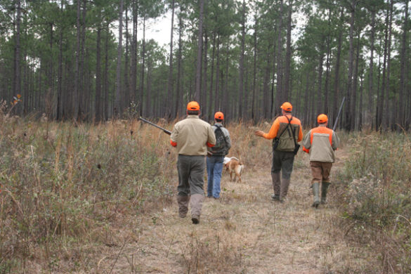 62 Washington County, Florida
