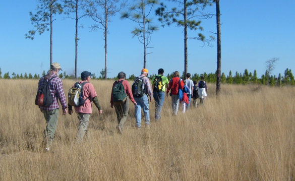 Hiking On Prairie-2009-Ron Peterson Washington County, Florida