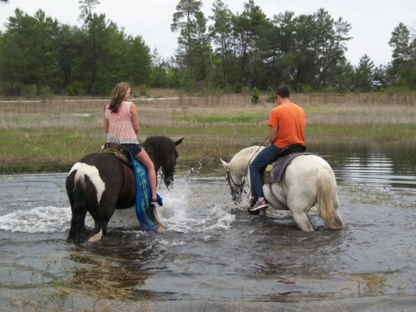 SST – Splashing in the Lake Washington County, Florida